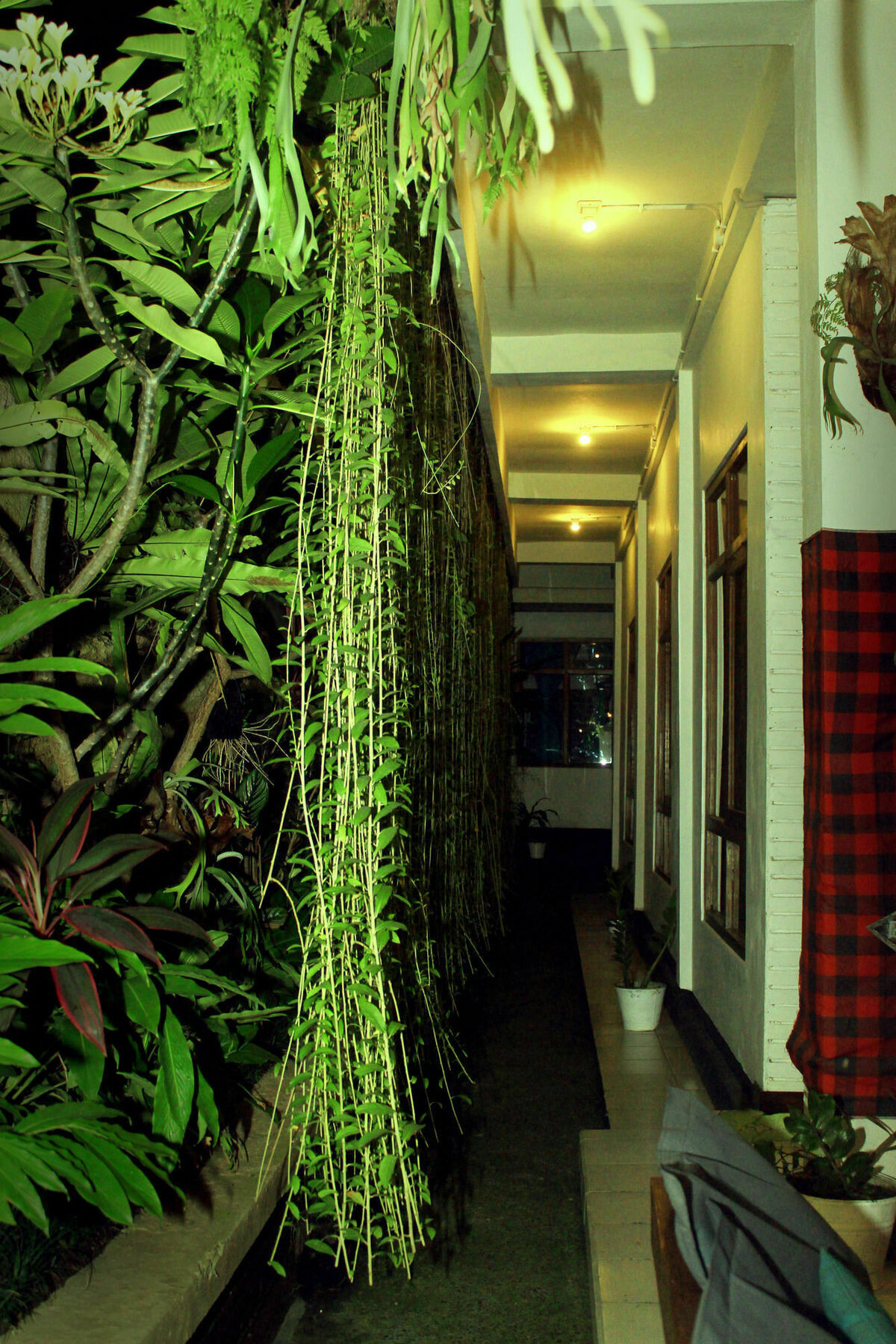 Хостел Friendly House Bali Убуд Екстер'єр фото